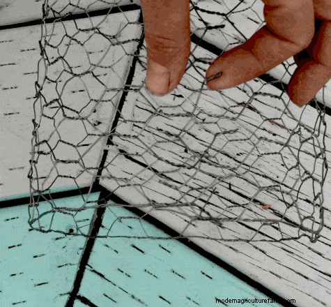 How to Make a DIY Garden Cloche + Gardening with Chickens