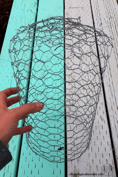 How to Make a DIY Garden Cloche + Gardening with Chickens