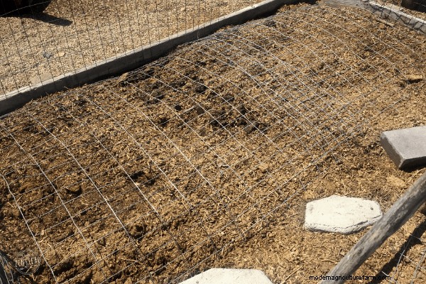 How to Make a DIY Garden Cloche + Gardening with Chickens