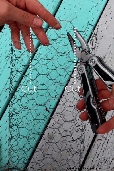 How to Make a DIY Garden Cloche + Gardening with Chickens