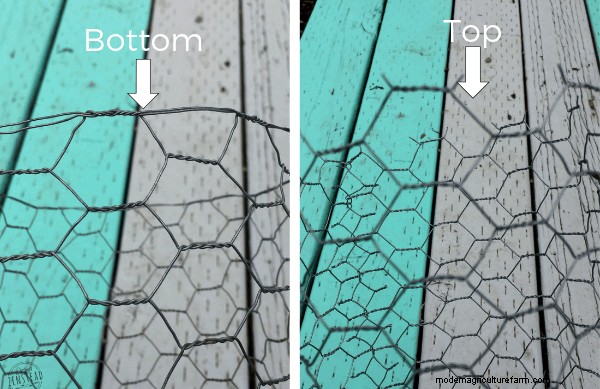 How to Make a DIY Garden Cloche + Gardening with Chickens