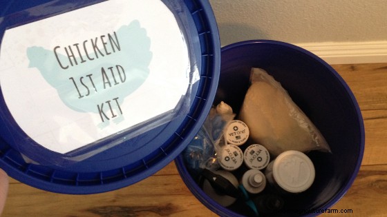 How to Stock a Chicken First Aid Kit + A Full List of Supplies