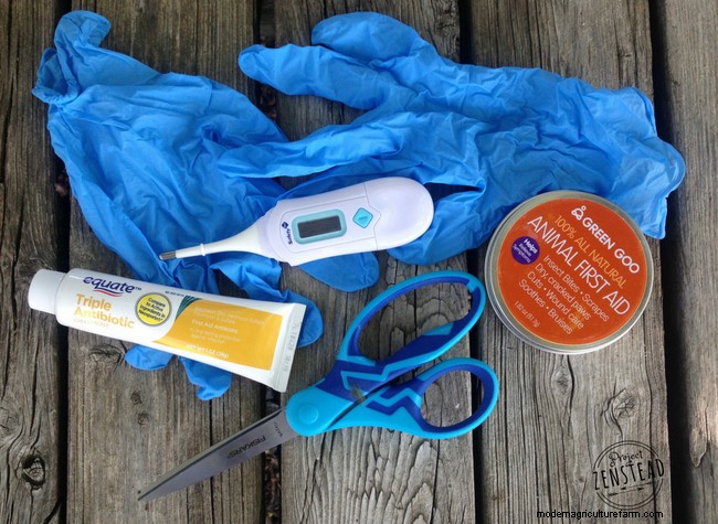 How to Stock a Chicken First Aid Kit + A Full List of Supplies
