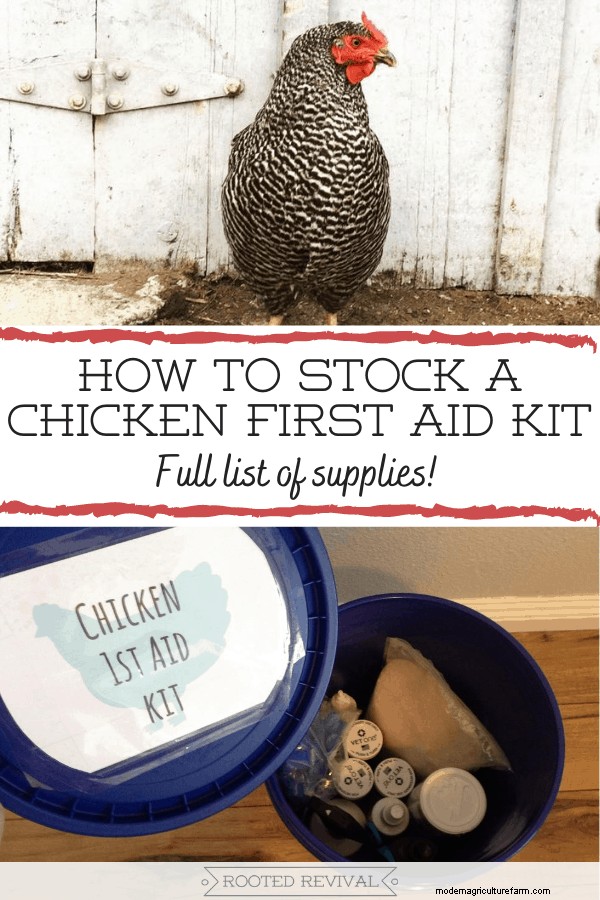 How to Stock a Chicken First Aid Kit + A Full List of Supplies