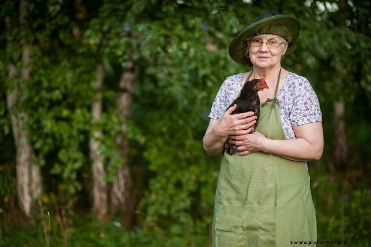 14 Reasons Why You Should Keep Chickens