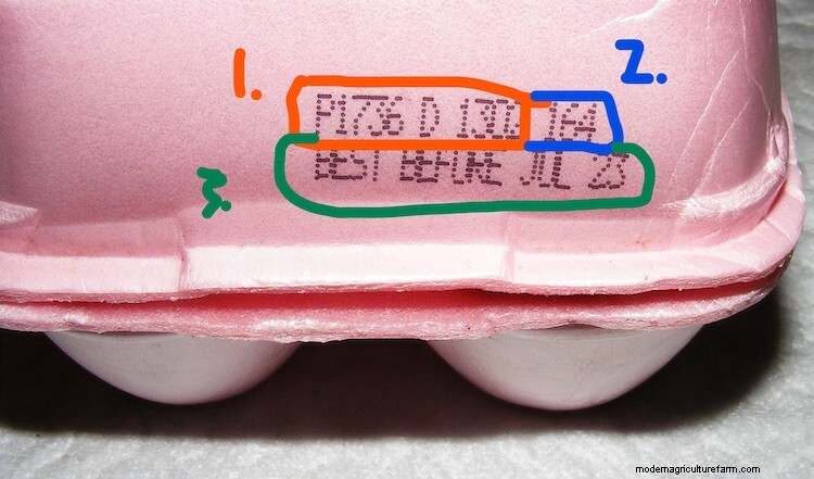 Egg Float Test: Fact Or Fiction?