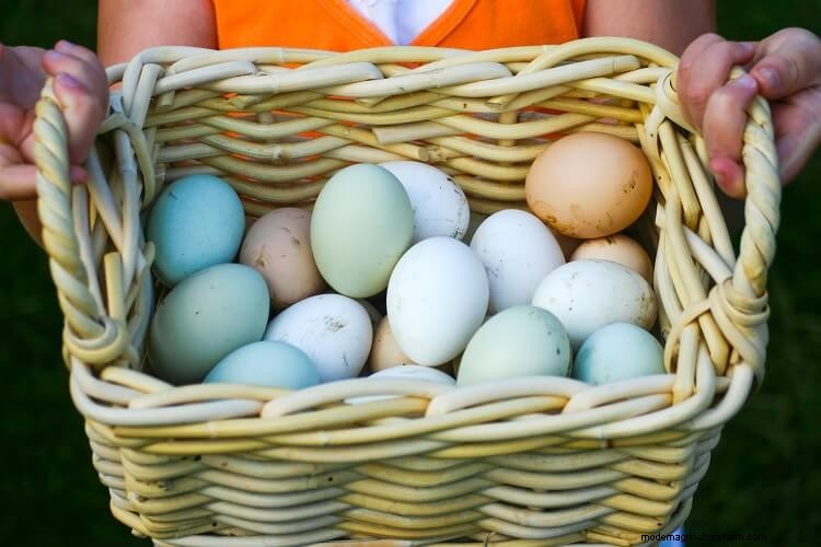 15+ Tips For Raising Chickens In Winter