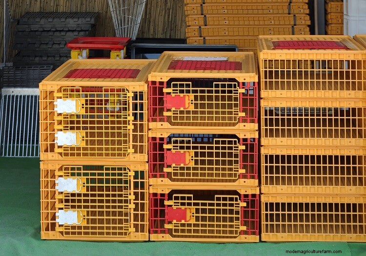 5 Best Chicken and Poultry Crates: The Complete Guide