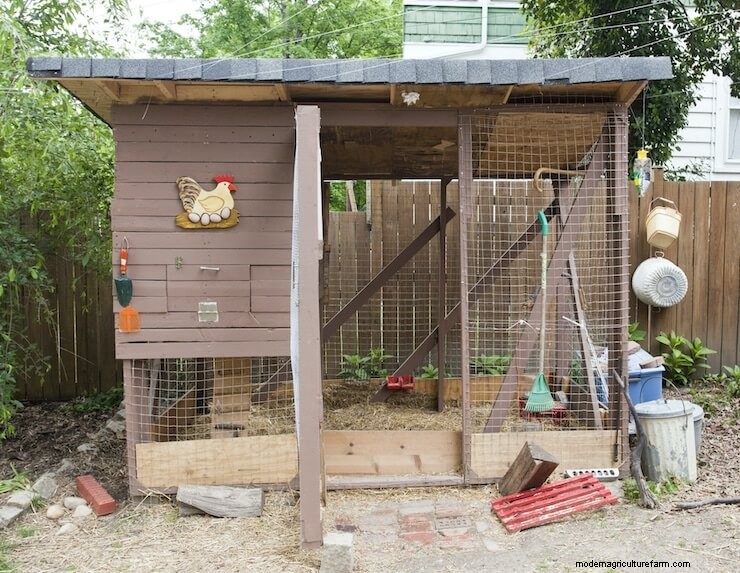 Chicken Coops: What To Know Before Buying