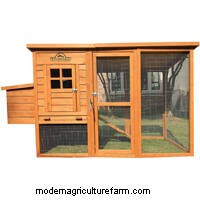 4 Best Walk-In Chicken Coops: The Complete Buyer’s Guide