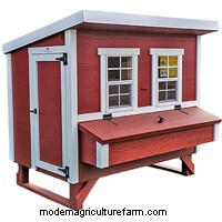 4 Best Walk-In Chicken Coops: The Complete Buyer’s Guide