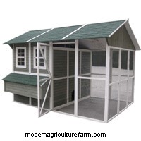 4 Best Walk-In Chicken Coops: The Complete Buyer’s Guide