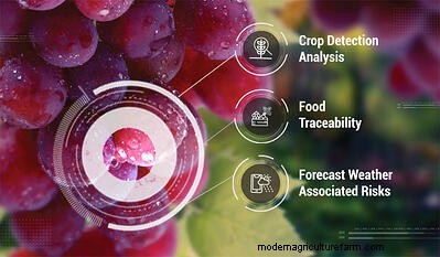 Cropin’s Pursuit To Impact 3 Pillars Of Modern Agriculture