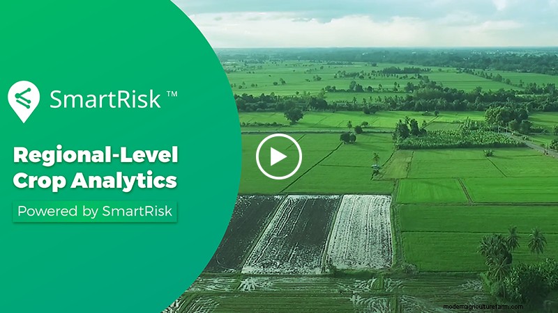 Here’s How Remote Satellite Monitoring Ensures Productivity For Agribusinesses While Working From Home