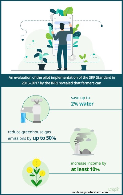 Sustainable Rice Practices — Safeguarding The Environment, Sustaining Livelihoods