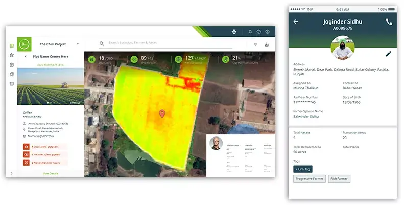 Are You Ready For The Plus Factor?