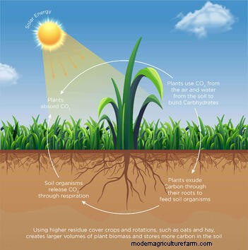 Top 5 Trends in 2021 for AI in AgTech