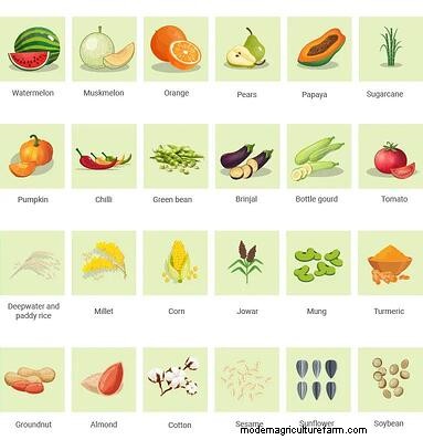 Digitizing Kharif Crop Production with Precision Agriculture