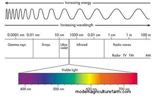 Vegetation Index: How Is It Used in Precision Agriculture?