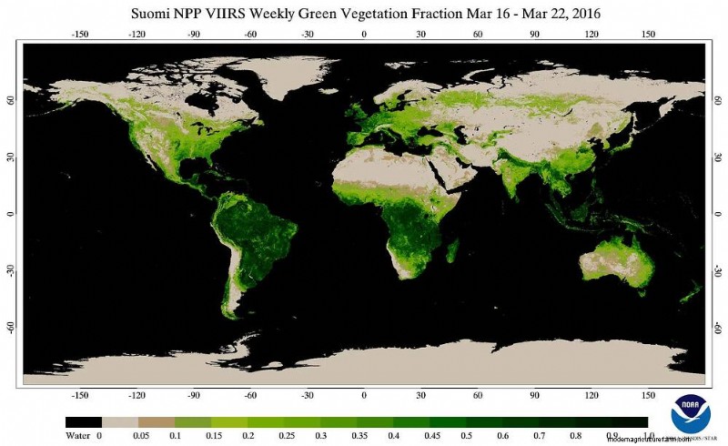 Vegetation Index: How Is It Used in Precision Agriculture?