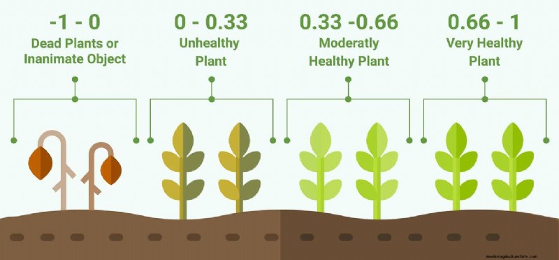 Vegetation Index: How Is It Used in Precision Agriculture?