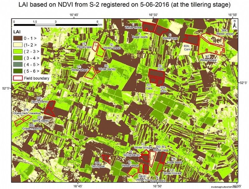 Vegetation Index: How Is It Used in Precision Agriculture?