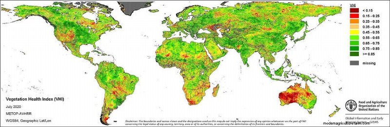 Vegetation Index: How Is It Used in Precision Agriculture?