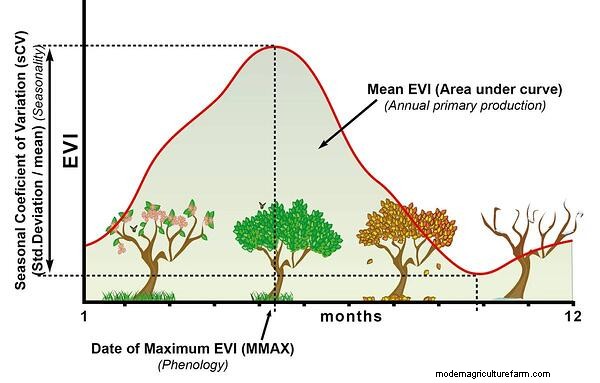 Vegetation Index: How Is It Used in Precision Agriculture?