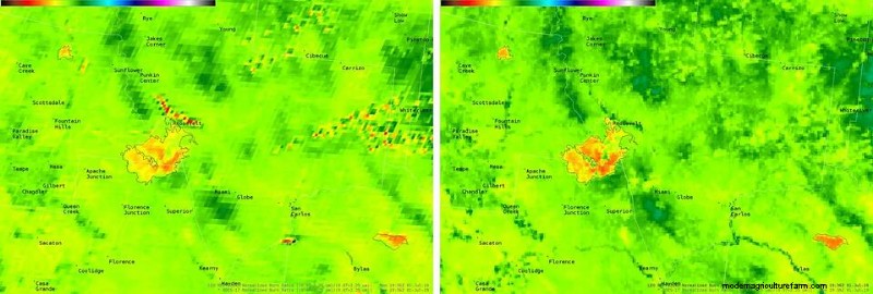 Vegetation Index: How Is It Used in Precision Agriculture?