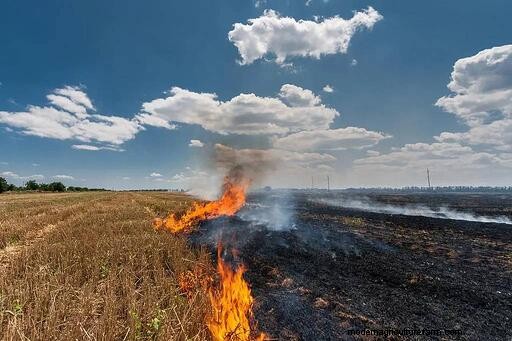 Stubble Burning: Associated Risks and Possible New-Generation Alternatives