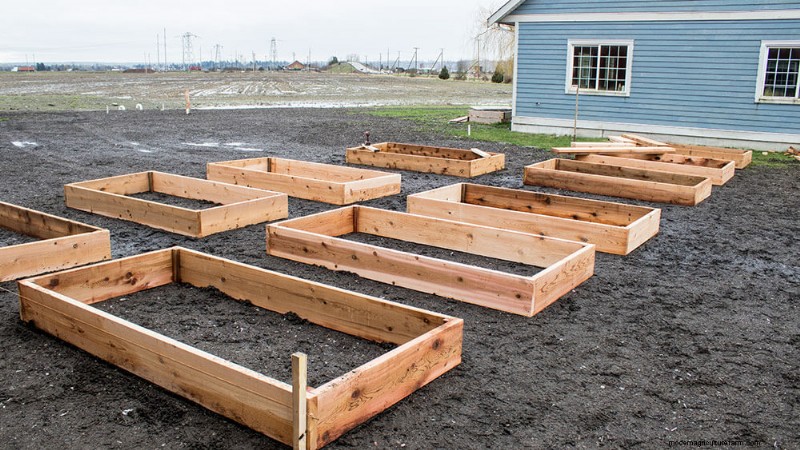 New Raised Beds