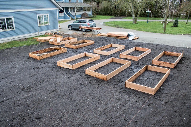 New Raised Beds