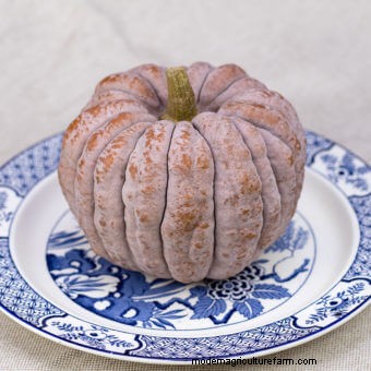 Twelve Must-Have Seeds for 2017