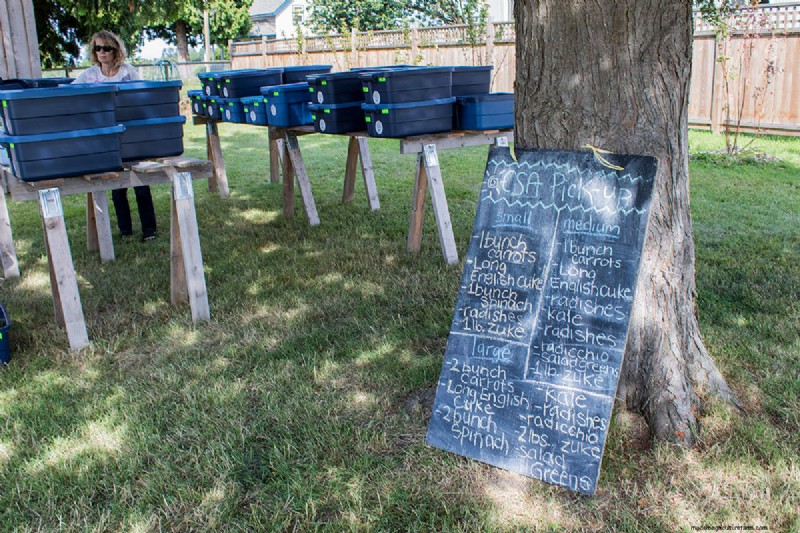 Farm Box Program Continues