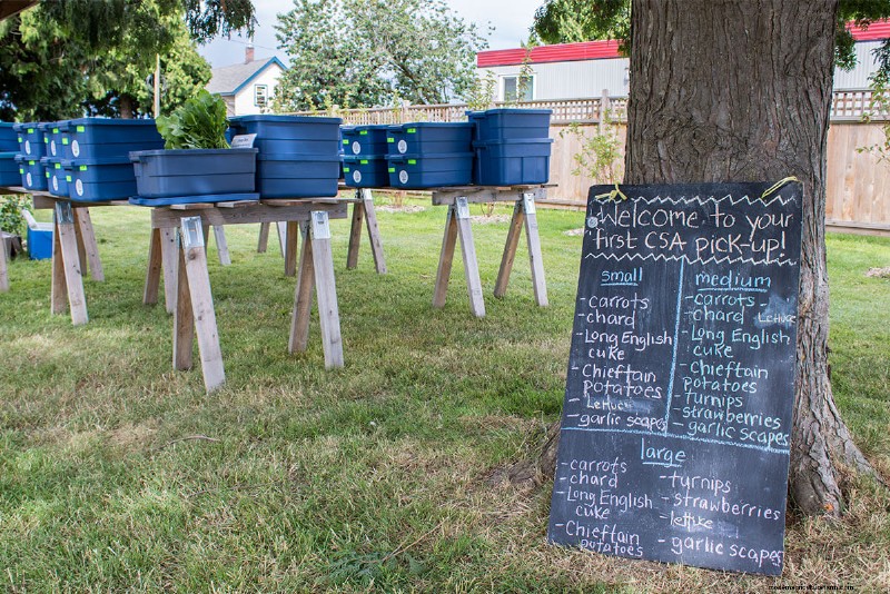 First Farm Box of the Season