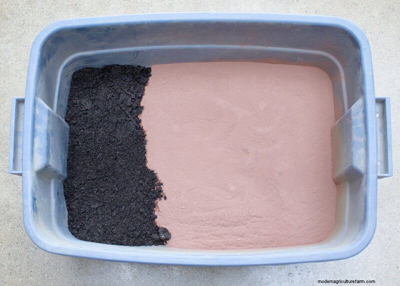 Commit to Grow Day 10: Seed Balls