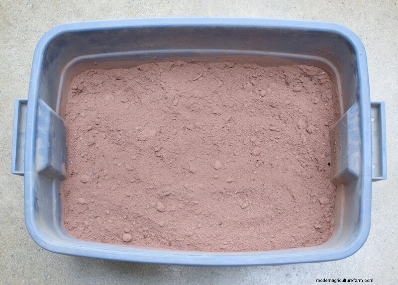 Commit to Grow Day 10: Seed Balls