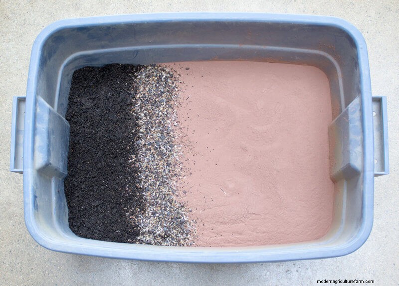 Commit to Grow Day 10: Seed Balls