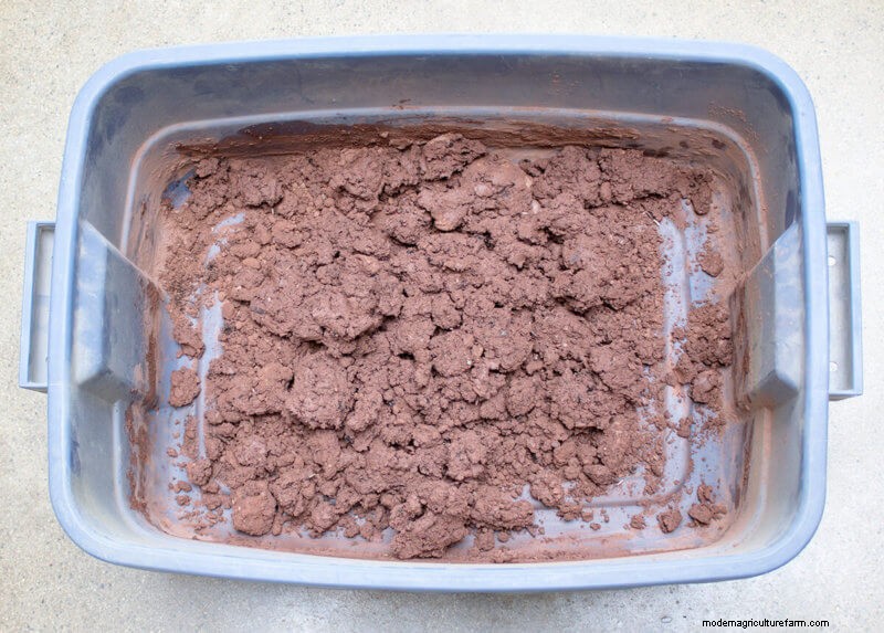 Commit to Grow Day 10: Seed Balls