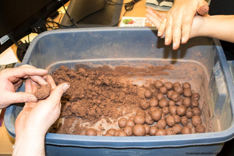 Commit to Grow Day 10: Seed Balls