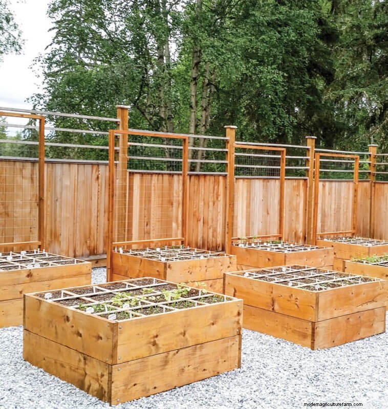 Commit to Grow Day 4: Transforming Lawns