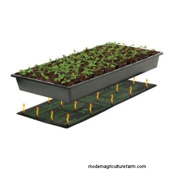 Favourite Seed Starting Tools