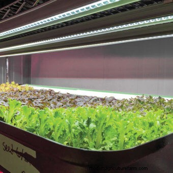 Favourite Seed Starting Tools