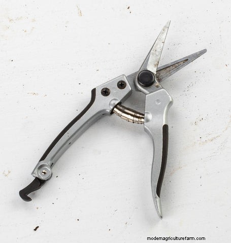 Staff Picked Hand Tools