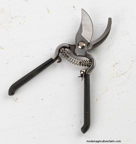 Staff Picked Hand Tools