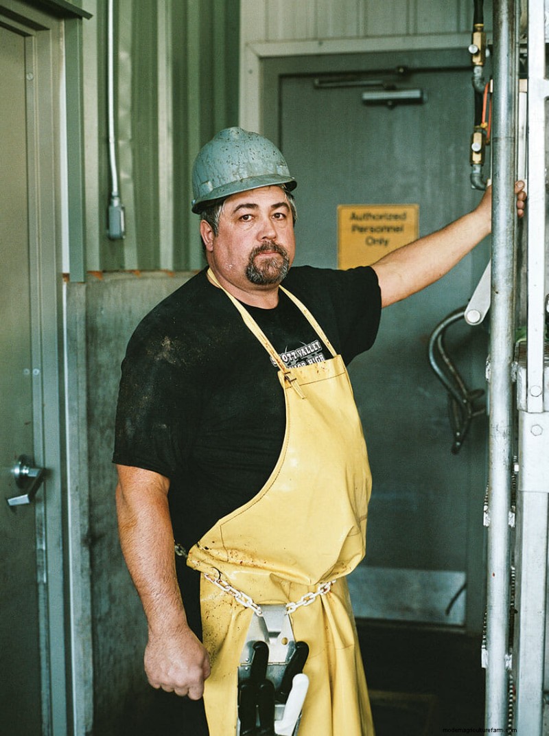 This Is What Humane Slaughter Looks Like. Is It Good Enough?