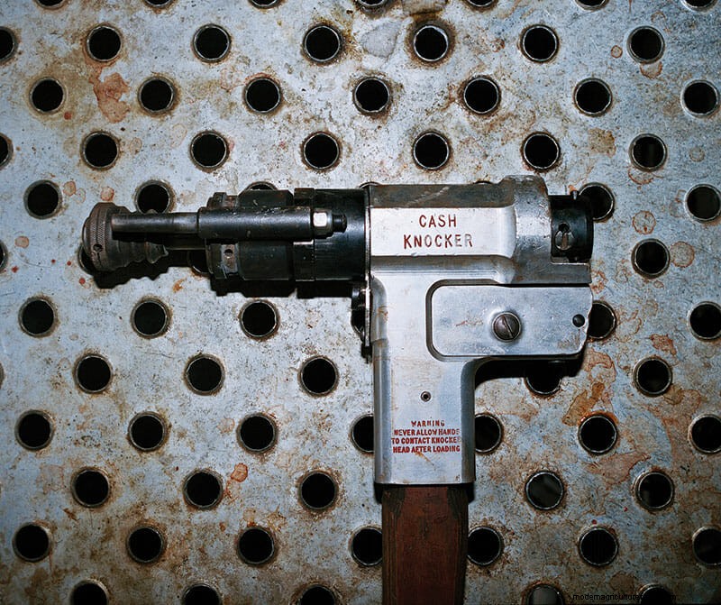 This Is What Humane Slaughter Looks Like. Is It Good Enough?