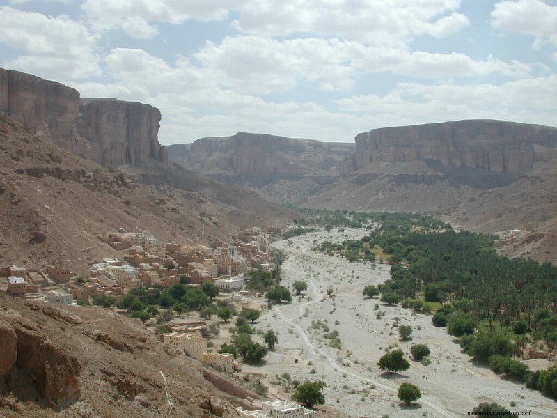 The Global Guide to Local Honey