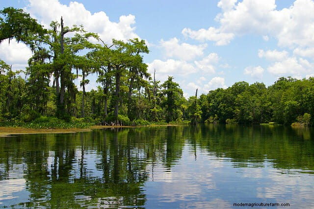 The Global Guide to Local Honey