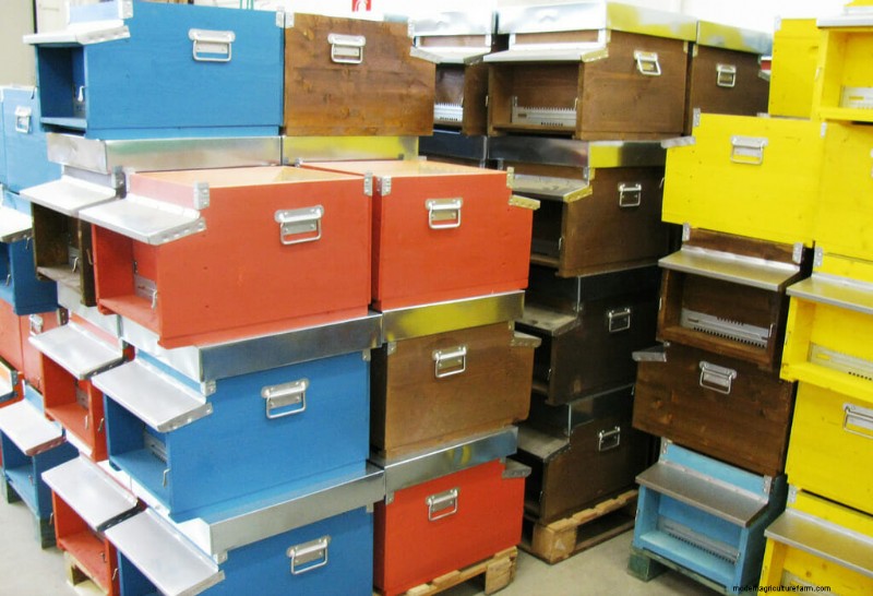 The Global Guide to Local Honey